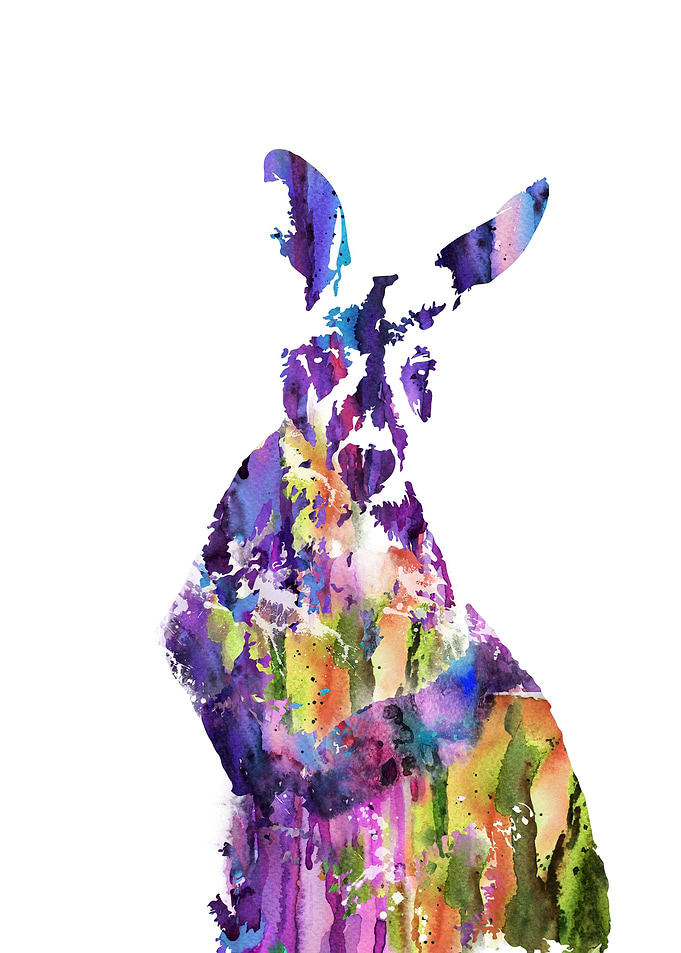 Kangaroo