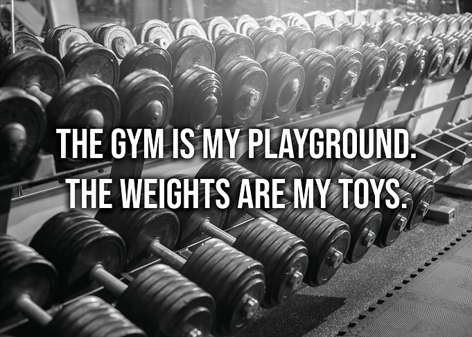 The Gym Is My Playground