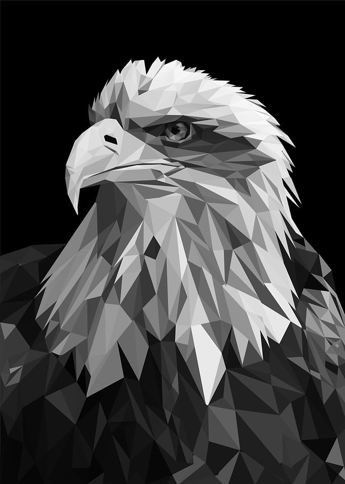 nursery animal eagle