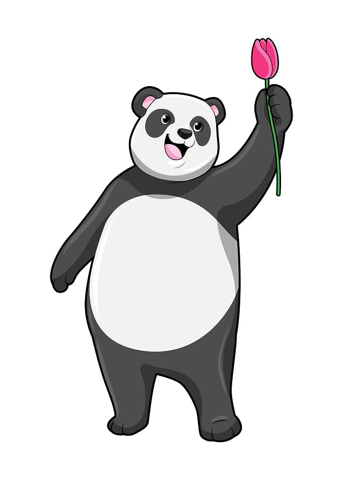 Panda Tulip Flower