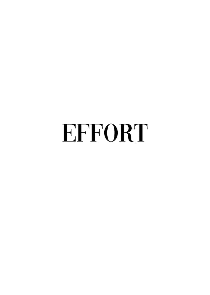 Effort
