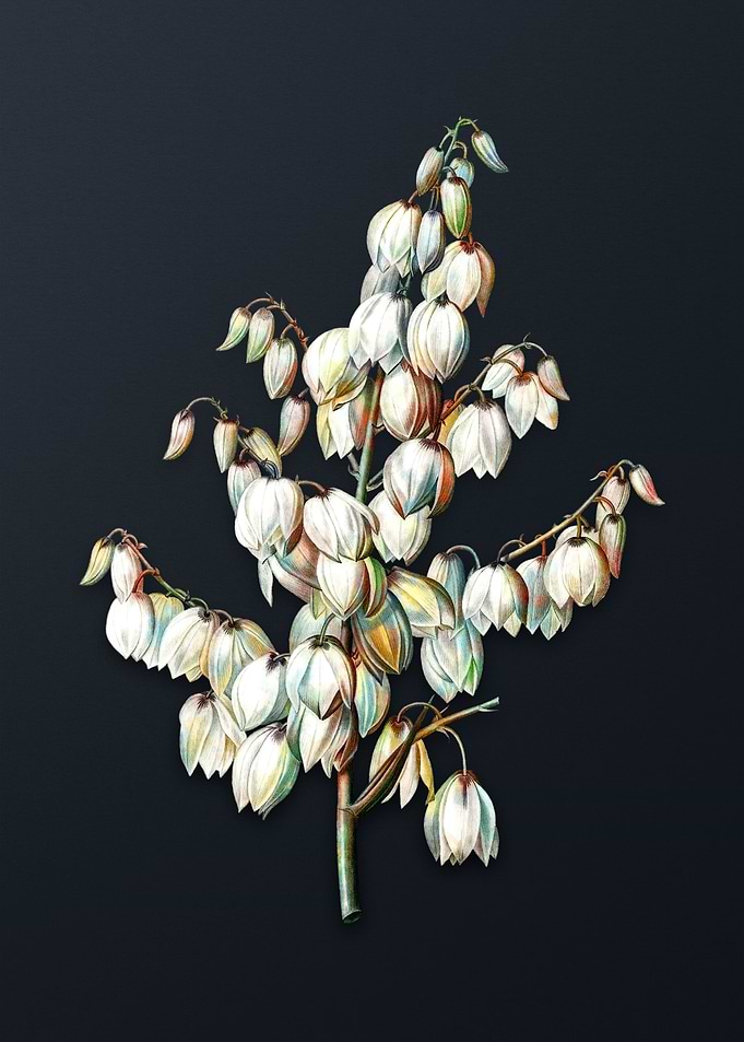 Vintage Aloe Yucca Flower