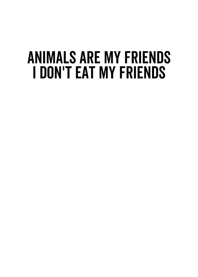 Animals Are My Friends I