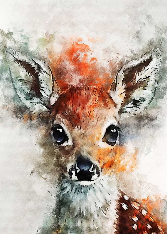 deer new watercolort