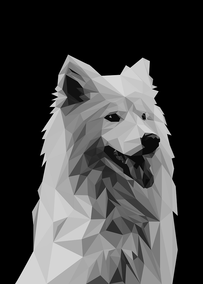 The Dog Black and White