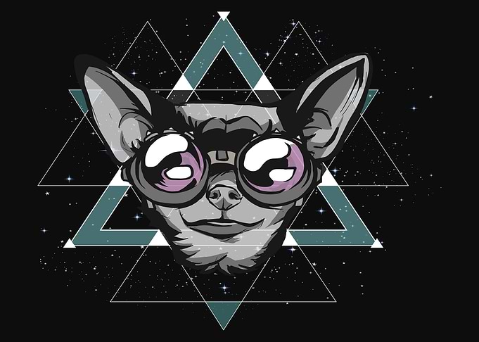 Space chihuahua