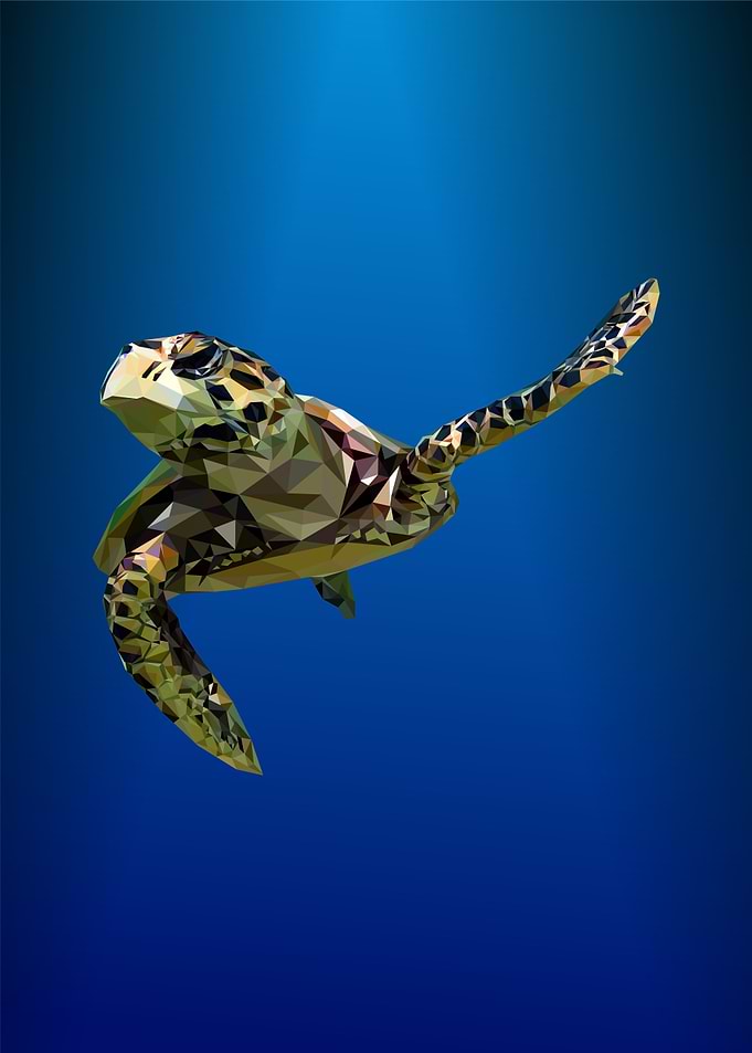 tortoise polygonal pop art