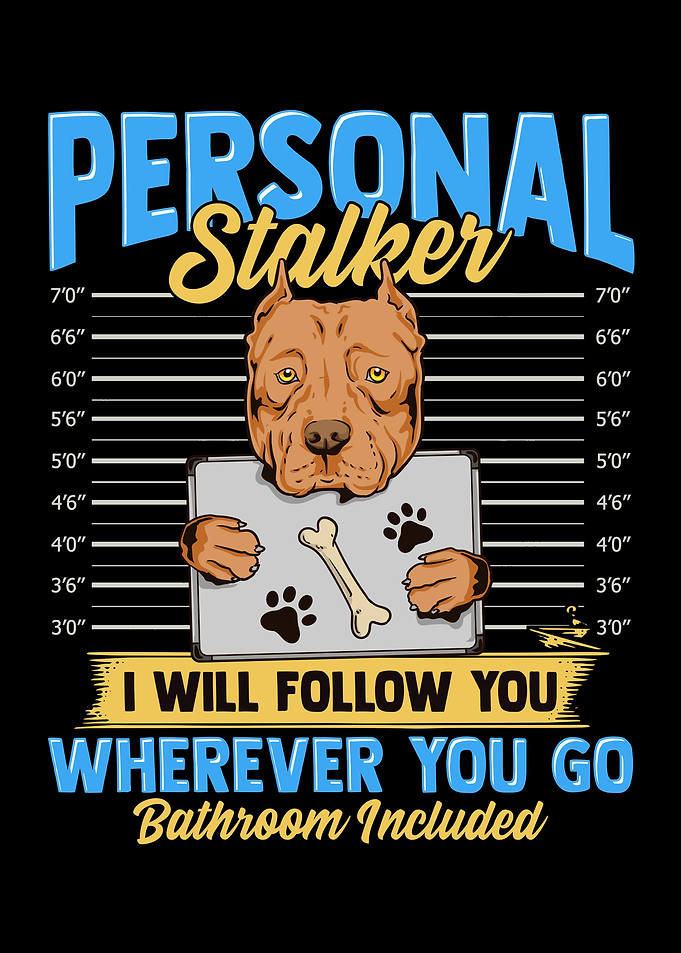 Pitbull Personal Stalker