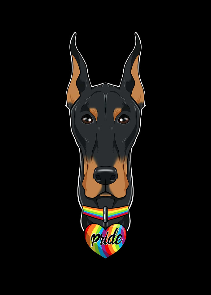 Doberman LGBTQ Flag I Gay