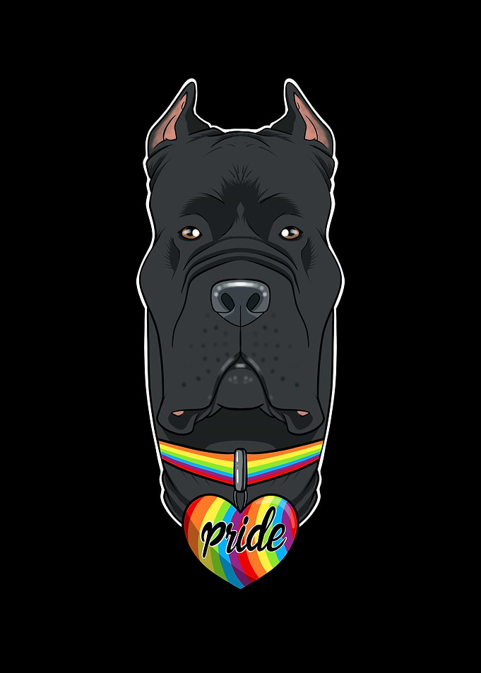 Cane Corso LGBTQ Flag