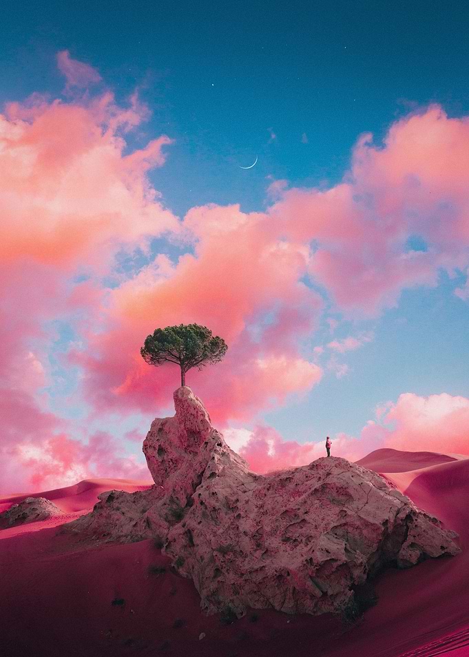 Tree of Life