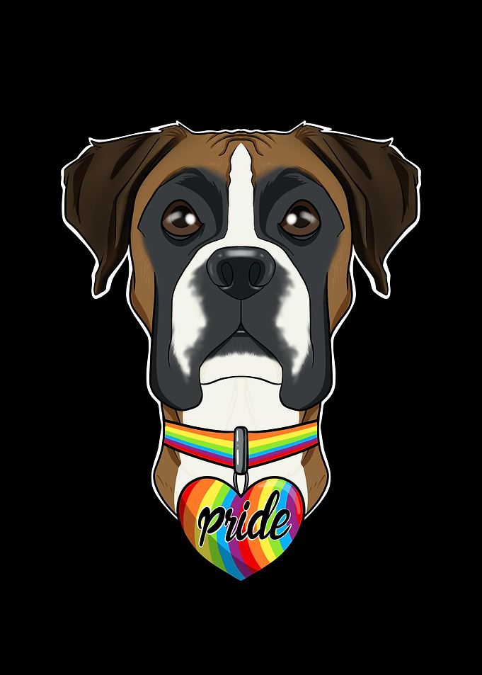 Boxer LGBTQ Flag I Gay