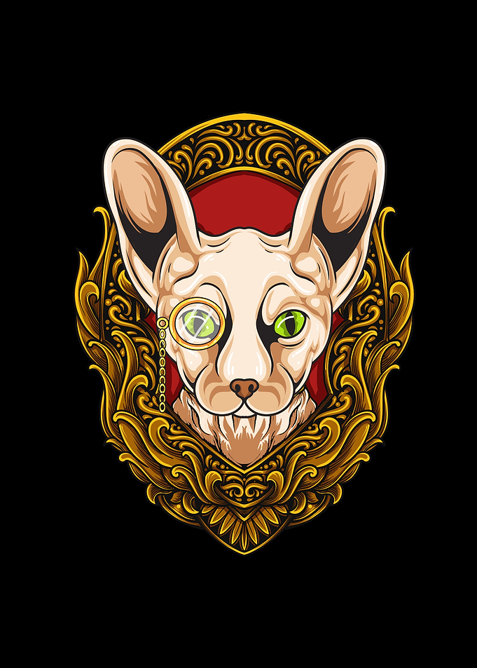 Sphynx Cats Nude Cat