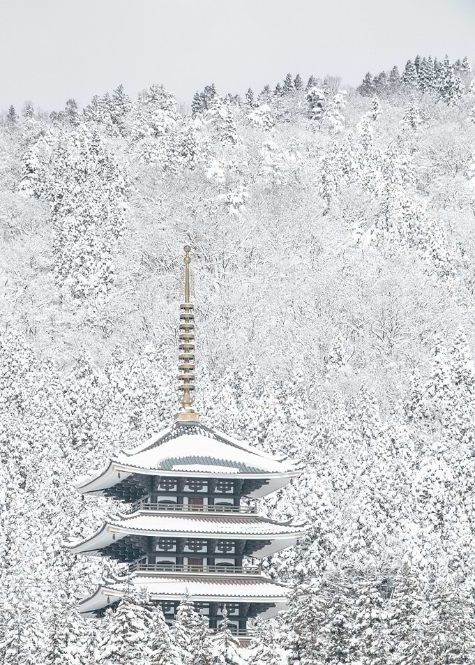 Tower of Winter