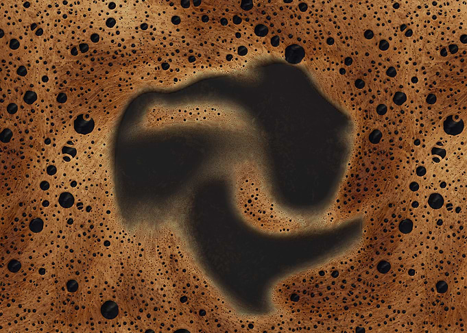 Coffee foam
