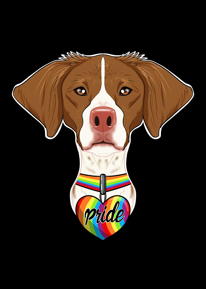 Brittany LGBTQ Flag I Gay