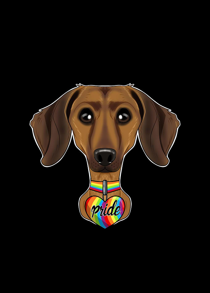 Dachshund LGBTQ Flag I Gay