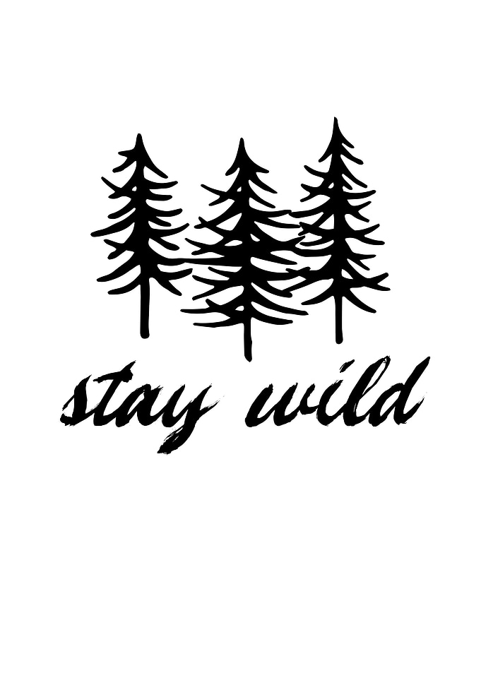 Stay Wild