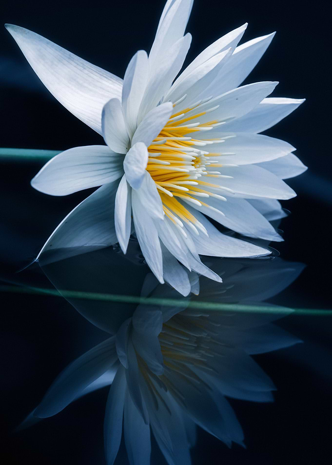 Reflecting world