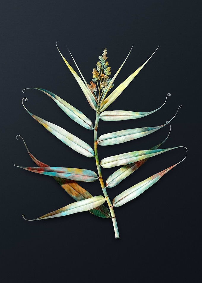 Vintage Bush Cane Flower