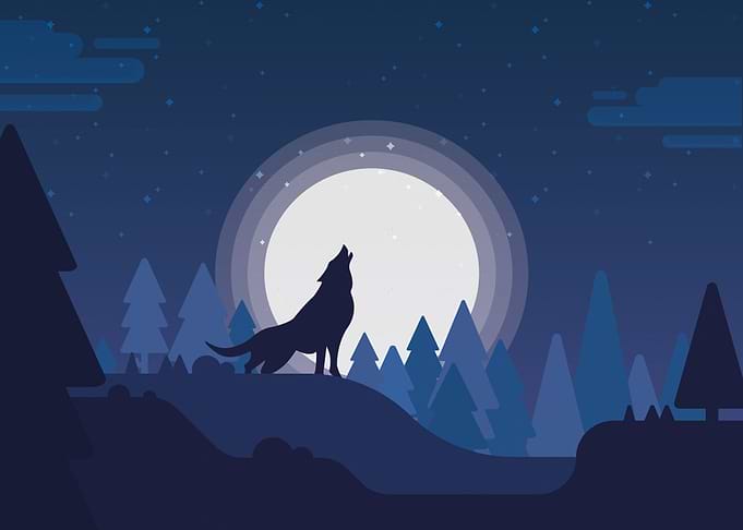 Wolf howling to a full