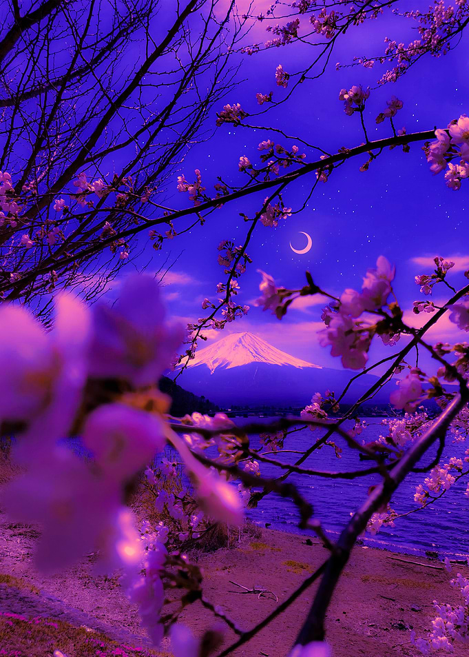 Fuji Dream