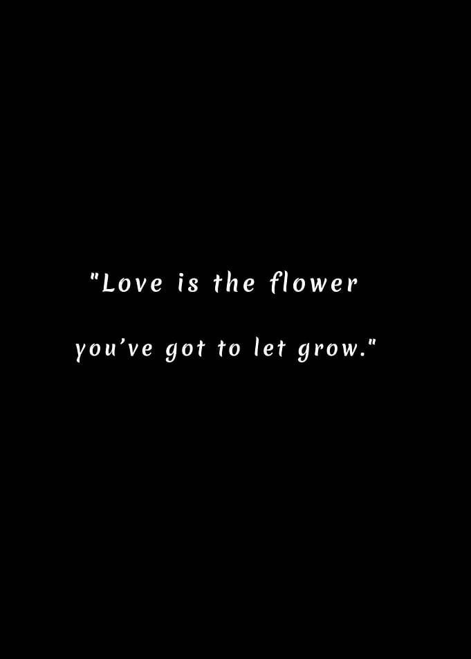Love Quotes