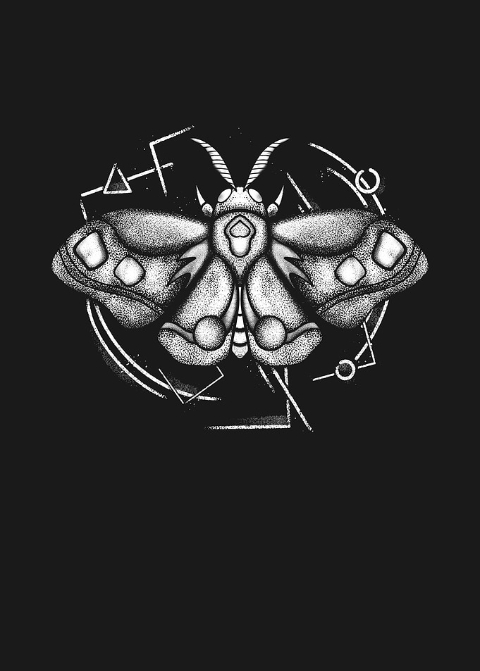 Cosmic Moth Fantasy Insect