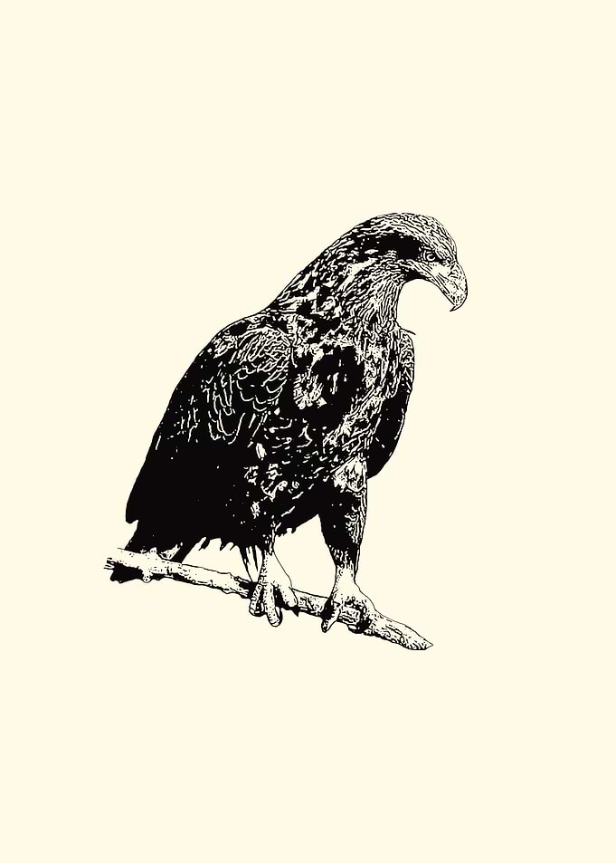 Eagle