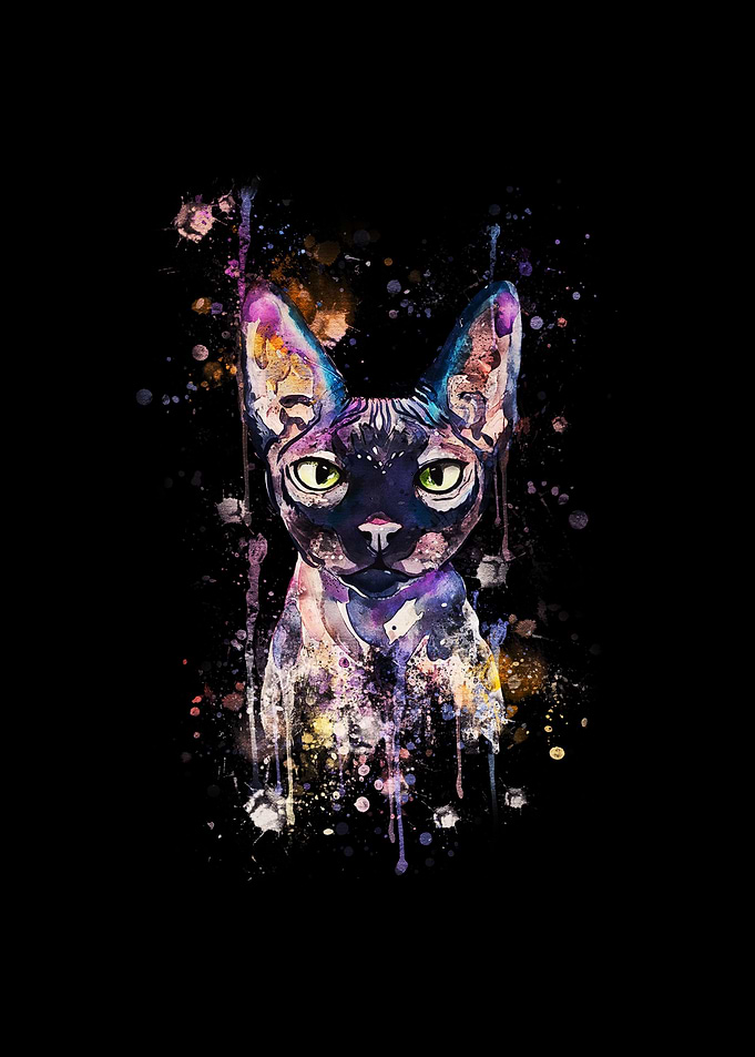 SPHYNX CAT