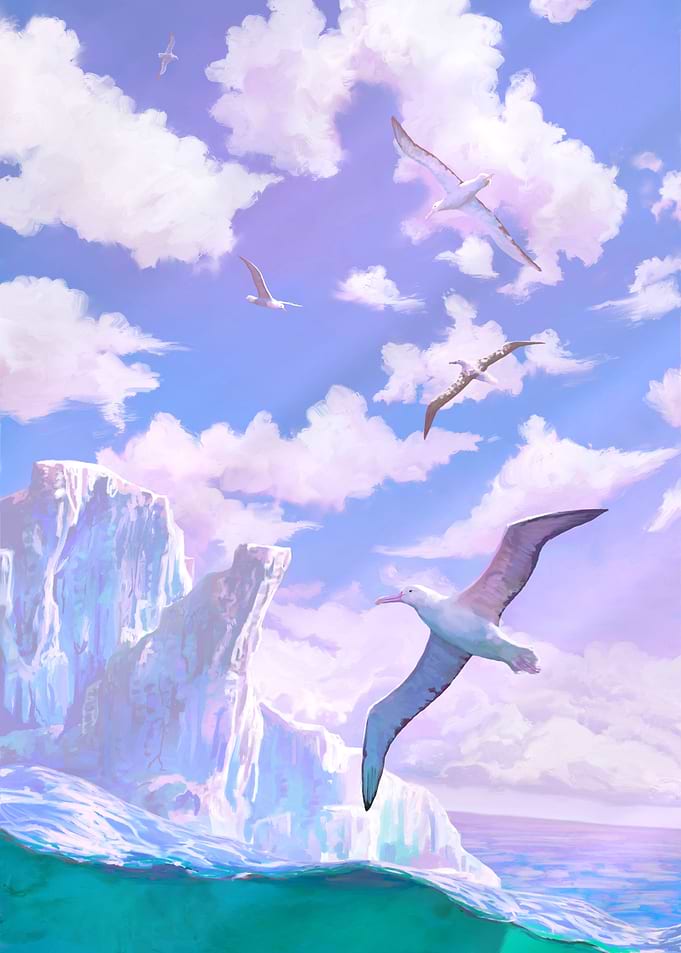 Freedom