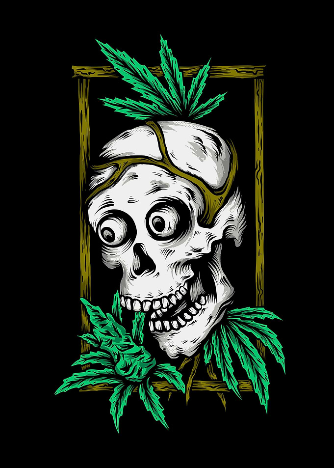Killer Canna