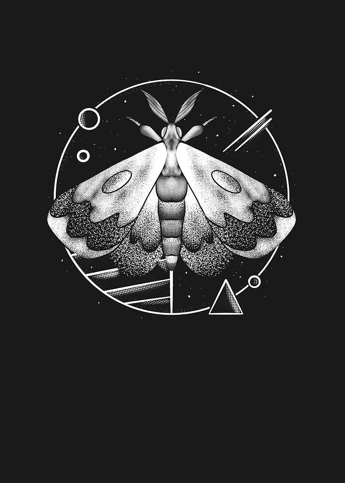 Cosmic Moth Fantasy Insect