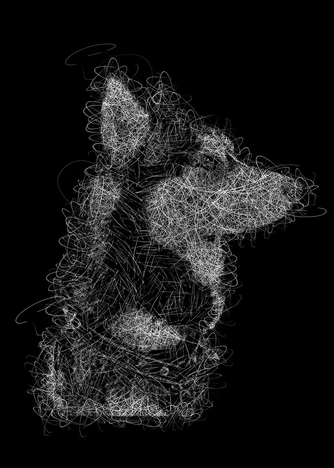 scribble art wolf