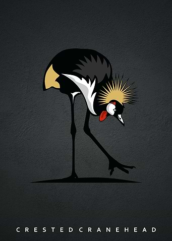 crane head birds