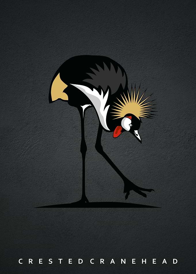 crane head birds