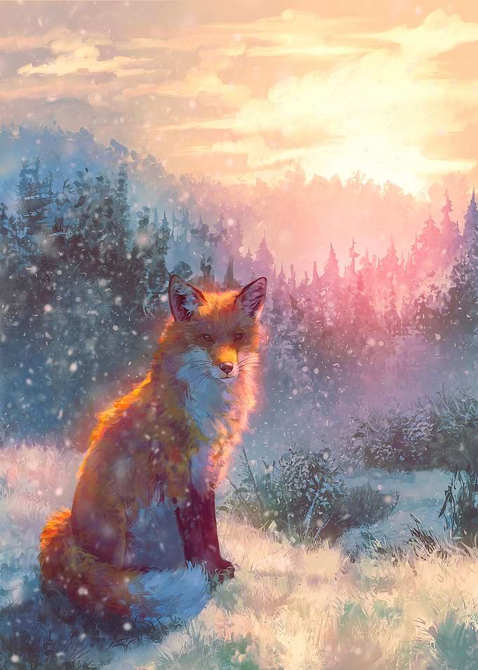 A Winters Sun