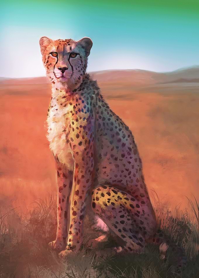 African Savannah
