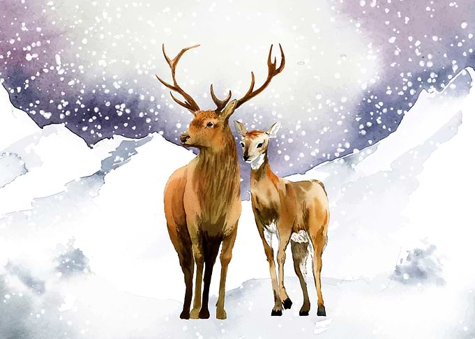 Deer Animals at the Snow