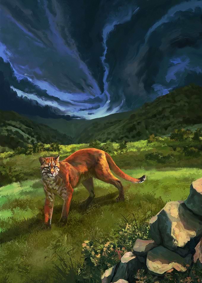 A Storm is Coming