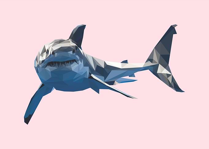 nursery animal shark
