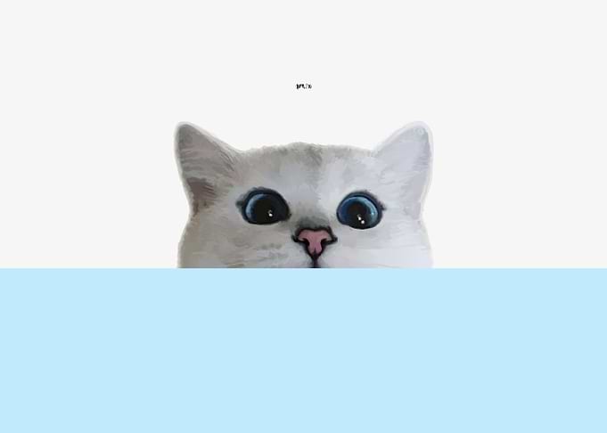 White British Cat