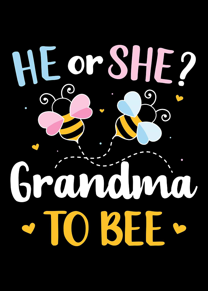 Gender reveal he or she gr