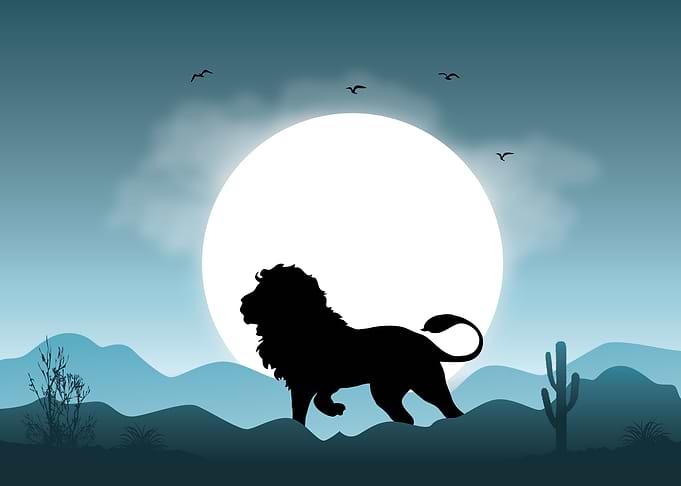 Lion Cute Animal