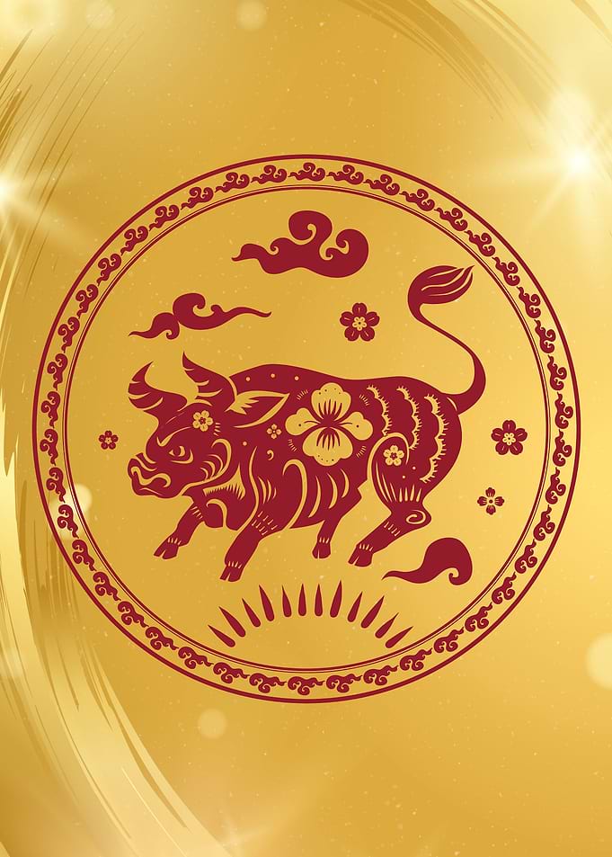 Zodiac The Ox