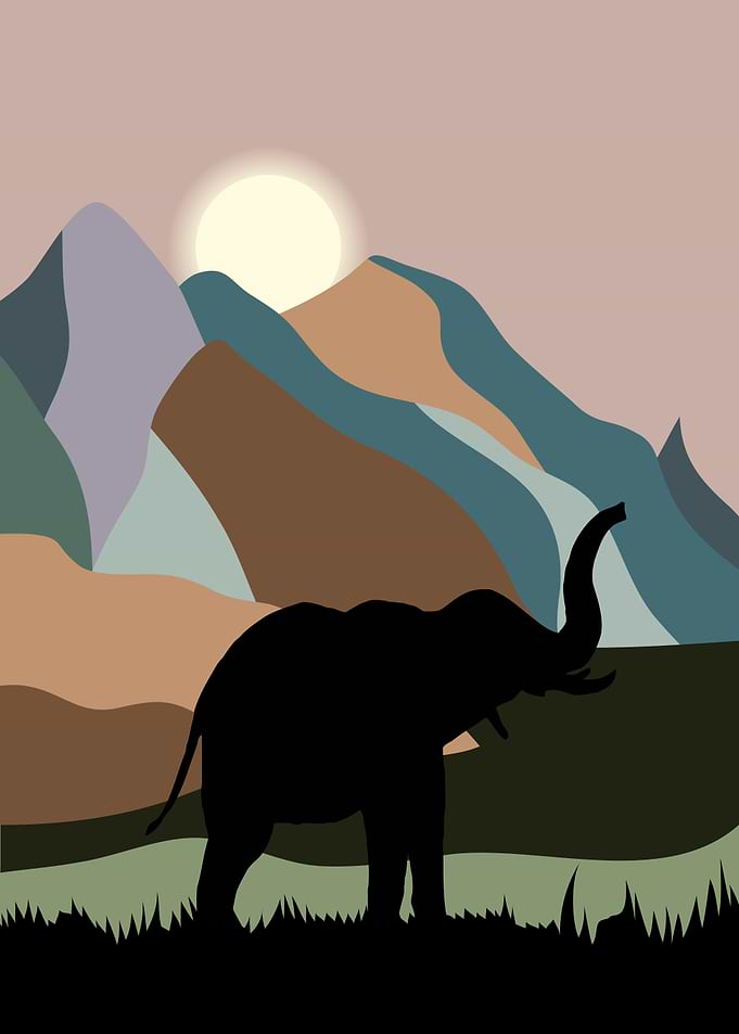 Elephant Cute Animal