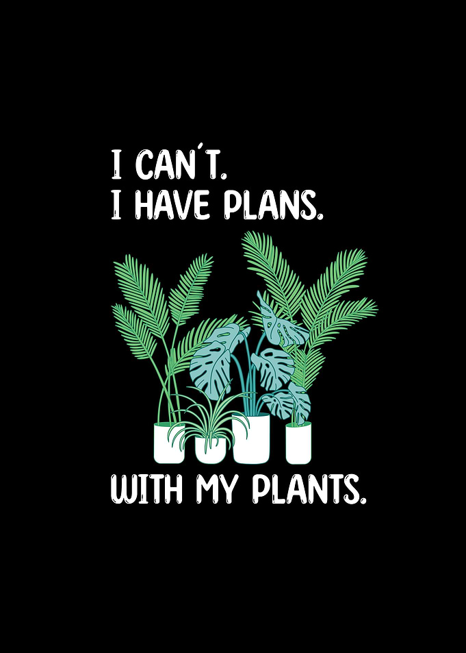 Houseplants Plant Gifts