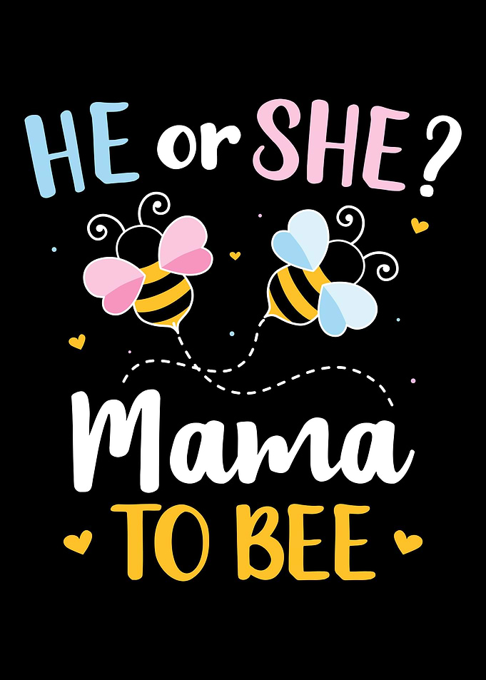 Gender reveal he or she ma