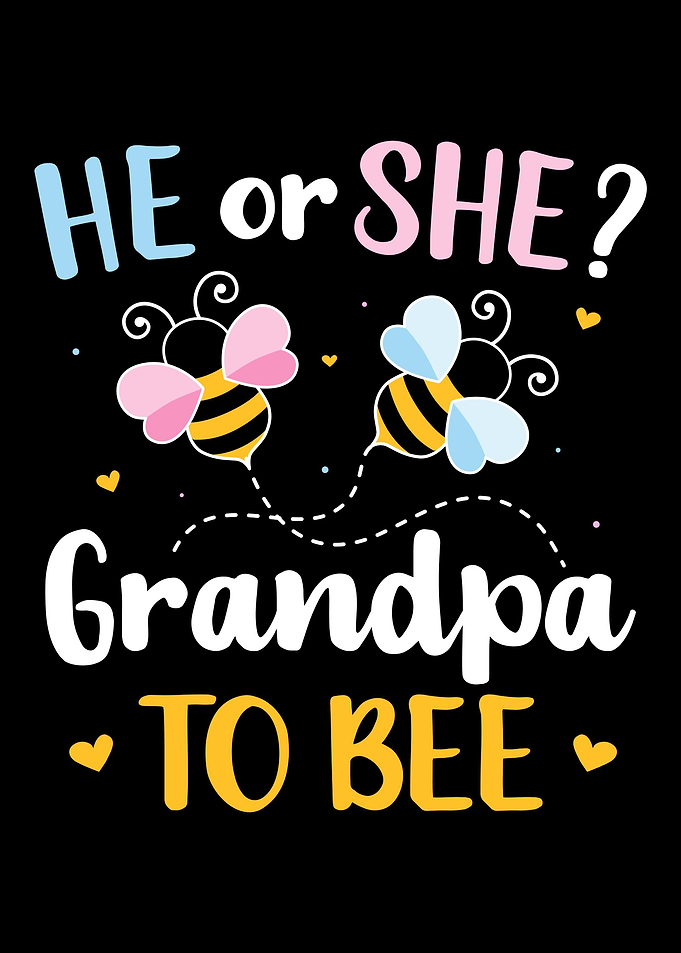 Gender reveal he or she gr