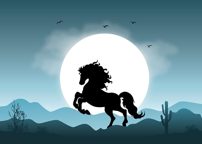Horse Cute Animal